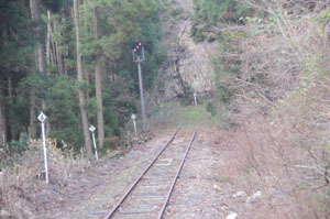 20081130_3.jpg