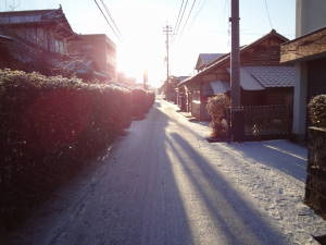 20120126.JPG